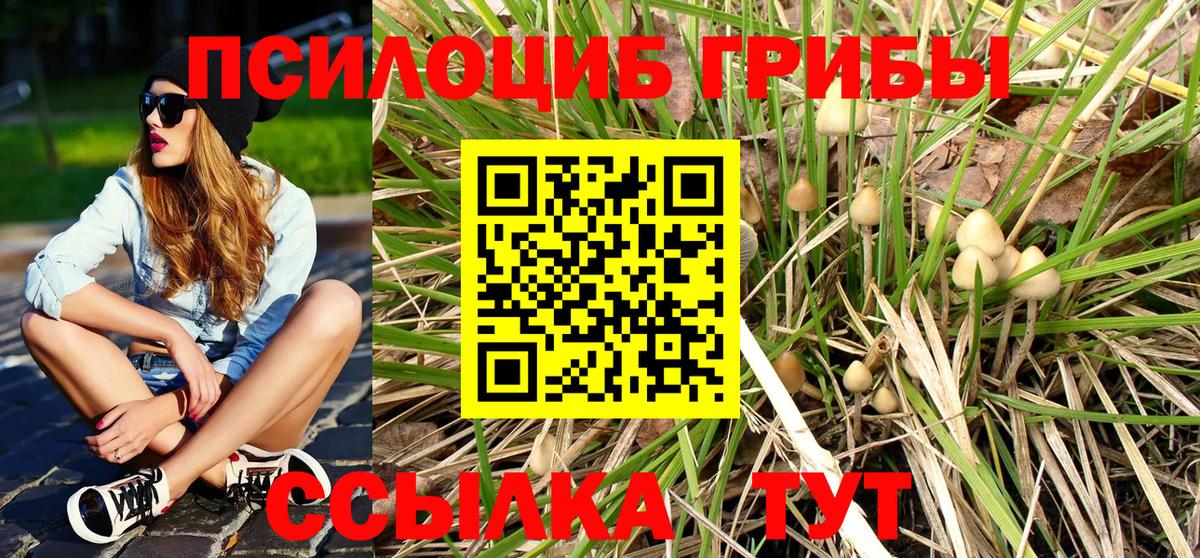 Псилоцибиновые грибы Magic Shrooms Нарьян-Мар